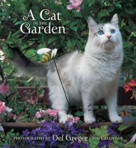 a-cat-in-the-garden-2016-wall-calendar-41